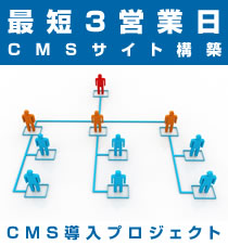 最短3営業日で集客ホームページ構築！CMS導入プロジェクトへ