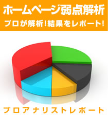 ホームページのログ解析ならプロアナリストレポートへ