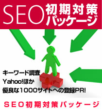 検索エンジン対策で集客ホームページへの第一歩を踏み出そう！SEO初期対策パッケージへ