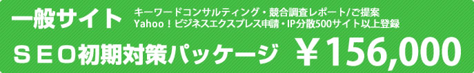 一般サイトSEO初期対策パッケージ料金￥156,000