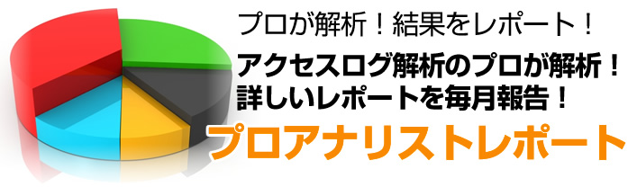 アクセスログ解析のプロが解析！詳しい解析レポートを毎月報告するサービス プロアナリストレポートのアクセス解析で集客力アップ