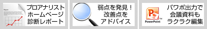 アクセスログ解析のプロアナリストはホームページをプロが診断・レポート！アクセスログ解析で弱点を発見！解析結果から改善点をアドバイス！パワーポイント出力で会議資料もラクラク編集！