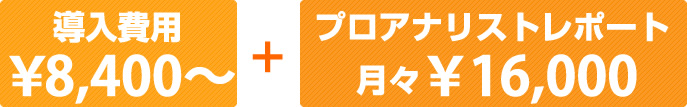 アクセスログ解析レポート！　導入費用￥8,400～、プロアナリストレポート月々￥16,000